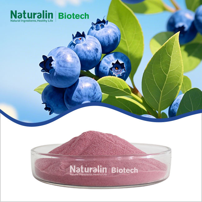 Blueberry Powder Blueberry Powder
